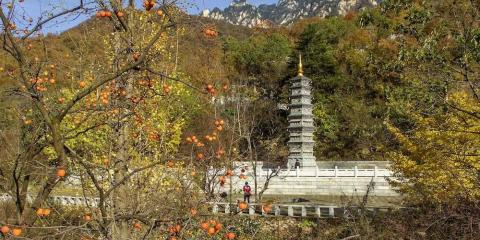 白马寺2023春节开门吗